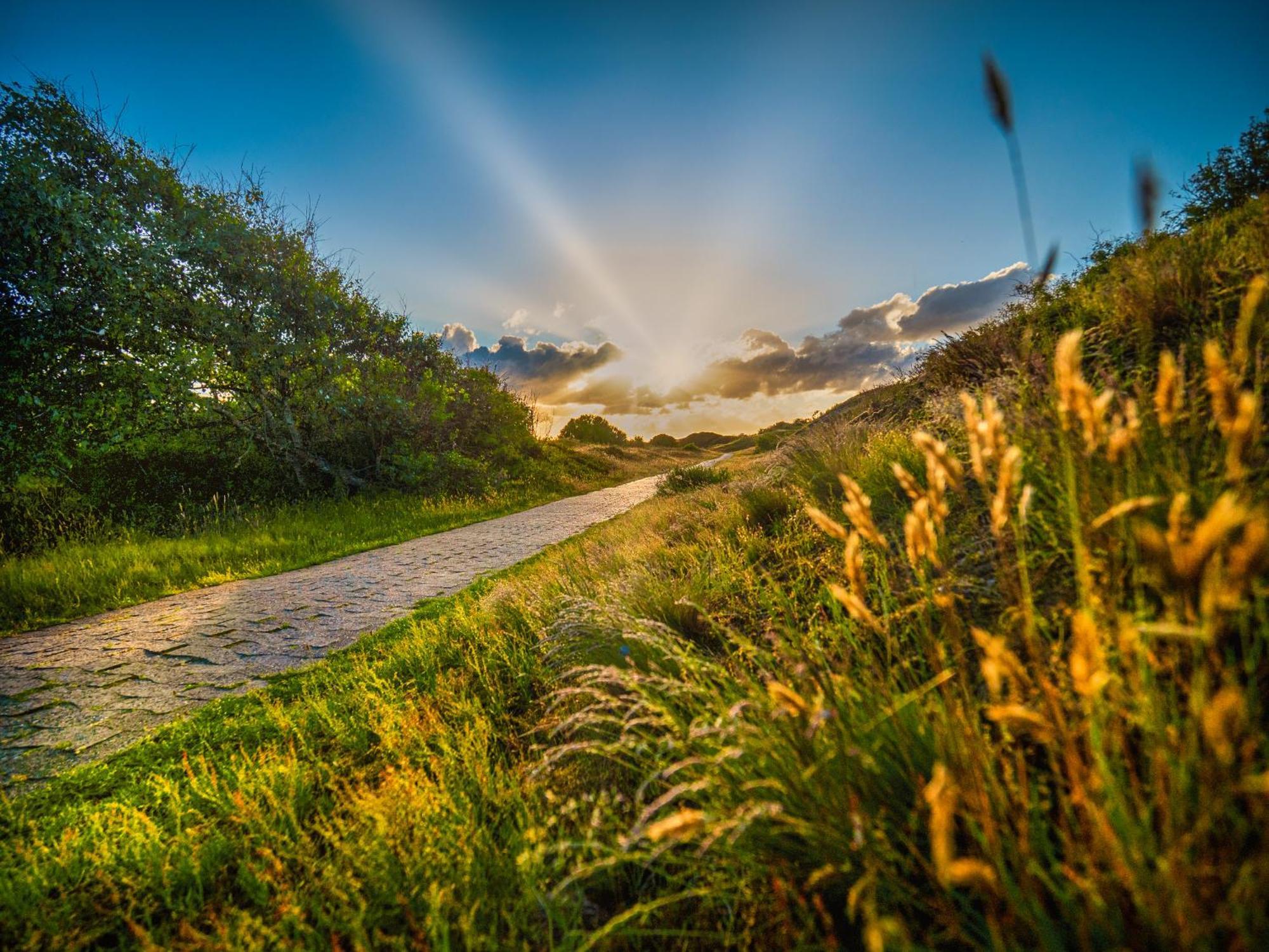 Arche Svea Lerche Spiekeroog Exteriér fotografie